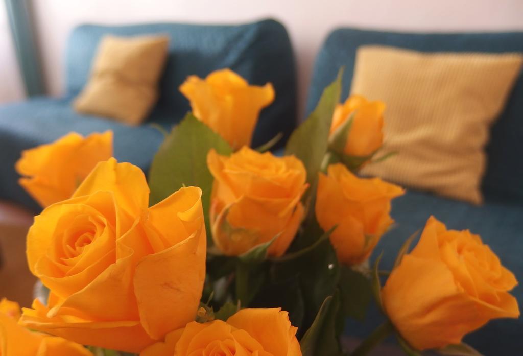 Prague Moon Hotel & Hostel Albergue Praga